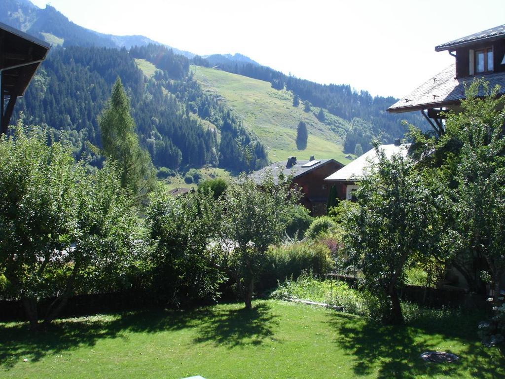 La Ferme Du Chateau Abondance Esterno foto